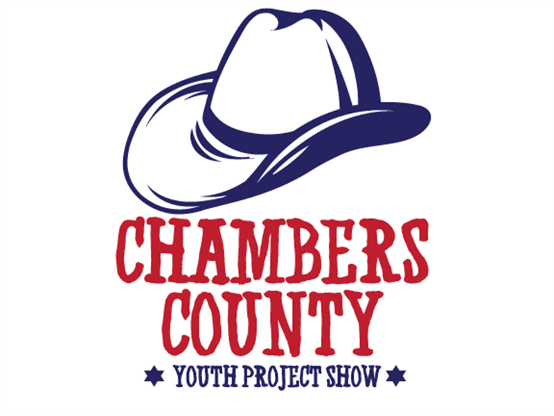 Results 2024 Chambers County Youth Project Show